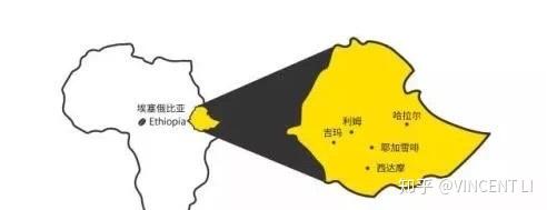 产地咖啡_产区咖啡豆_咖啡的产区