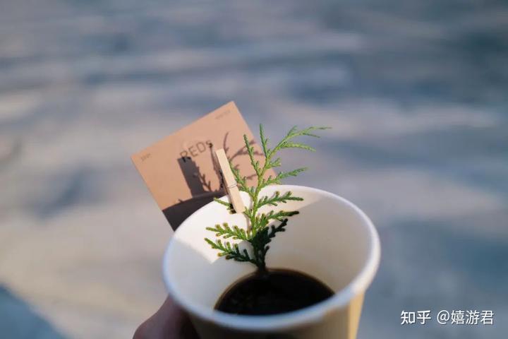 营业知乎上海咖啡馆还在开吗_上海新开咖啡馆_上海咖啡馆还在营业吗知乎