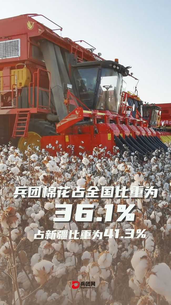 好看美食文小说_好看的美食_好看美食图片