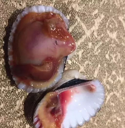 潮汕花甲怎么做好吃又简单_美食潮汕做法花甲怎么做_潮汕美食做法花甲