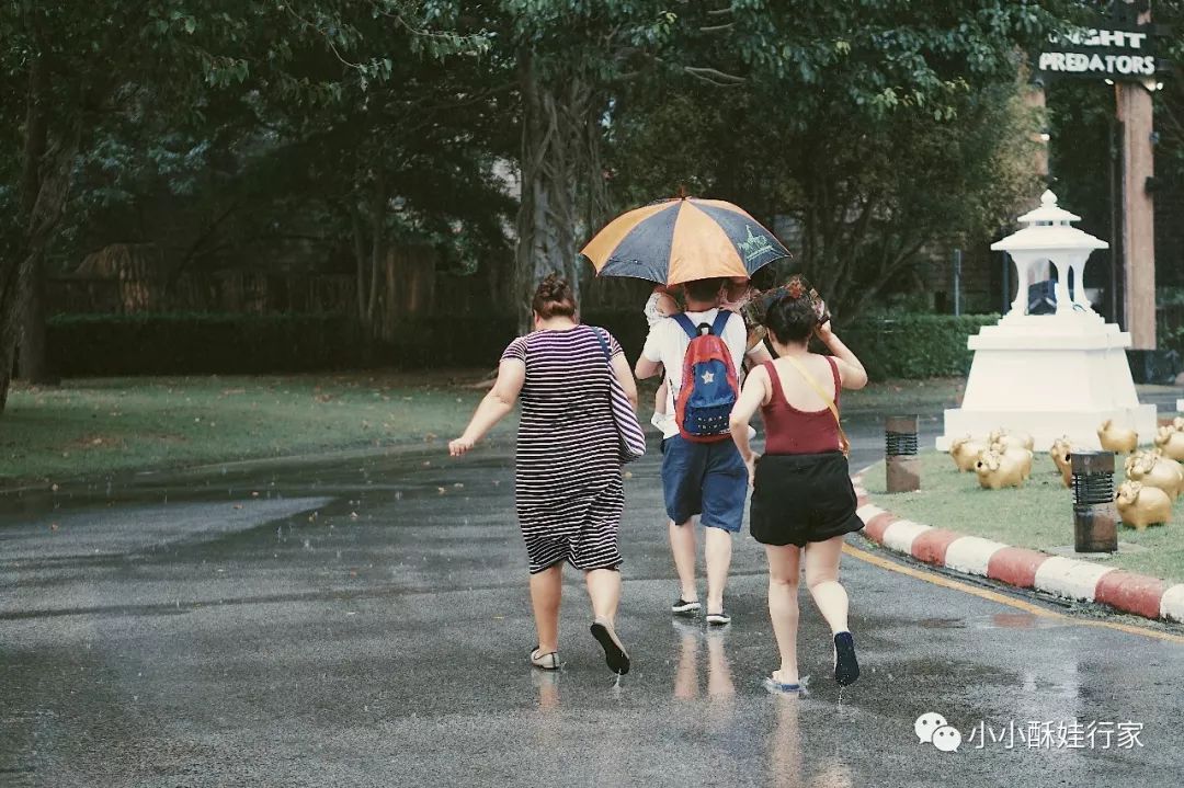 泰国明星咖啡厅叫什么_泰国网红咖啡厅_泰国网红咖啡