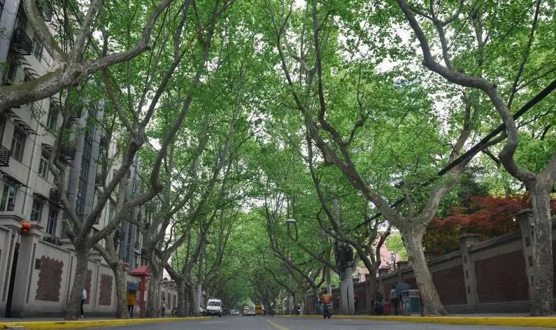 西安中信大厦楼顶餐厅_中信国际广场美食西安_中信广场餐饮