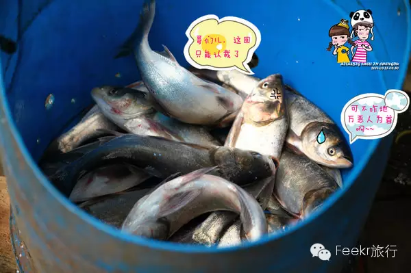 安西特产是什么_安西小吃_安西美食