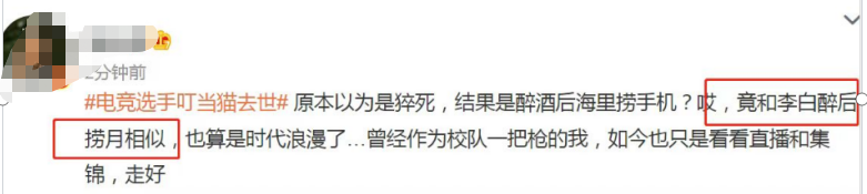 猫脱科技有限公司_脱猫电竞_电竞猫咪