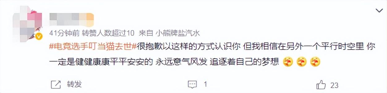 猫脱科技有限公司_电竞猫咪_脱猫电竞