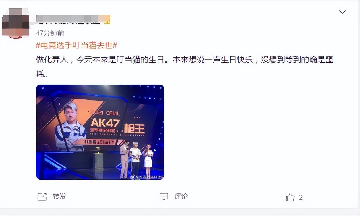 脱猫电竞_电竞猫咪_猫脱科技有限公司