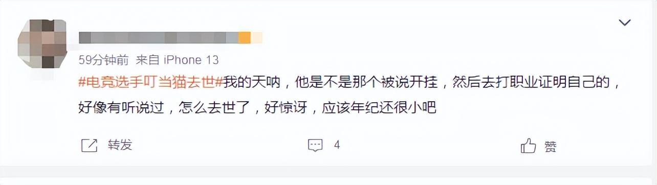脱猫电竞_猫脱科技有限公司_电竞猫咪