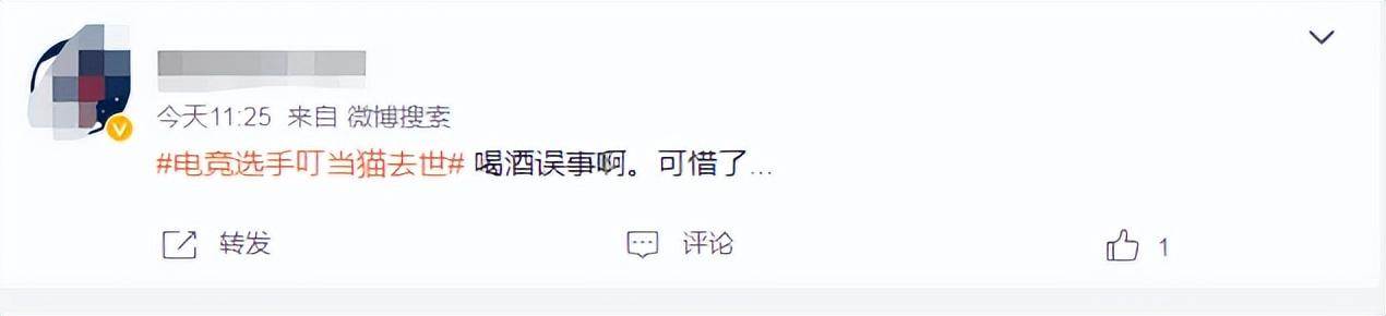 猫脱科技有限公司_电竞猫咪_脱猫电竞